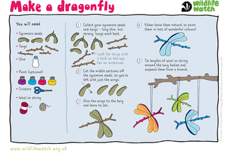 make a dragonfly