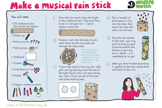 Musical rain stick