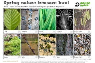 Spring nature treasure hunt 