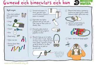 Binocwlars