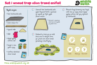 A step by step guide to making a footprint trap for wildlife, in Welsh. The guide shows how to use sand in a tray to capture footprint to see which wildlifevisitors are coming to your garden