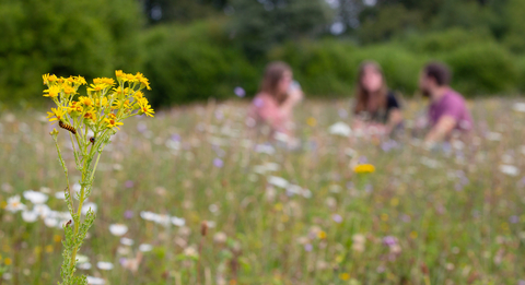 Nature Reserves | Wildlife Watch