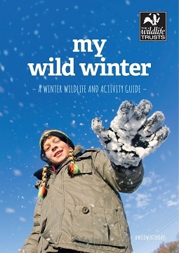my wild winter