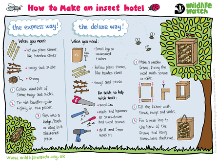 Insect hotel